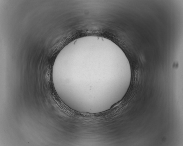 X0000115021250200911091435