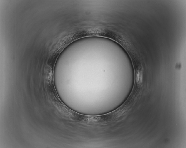 X0000115021251200911091435