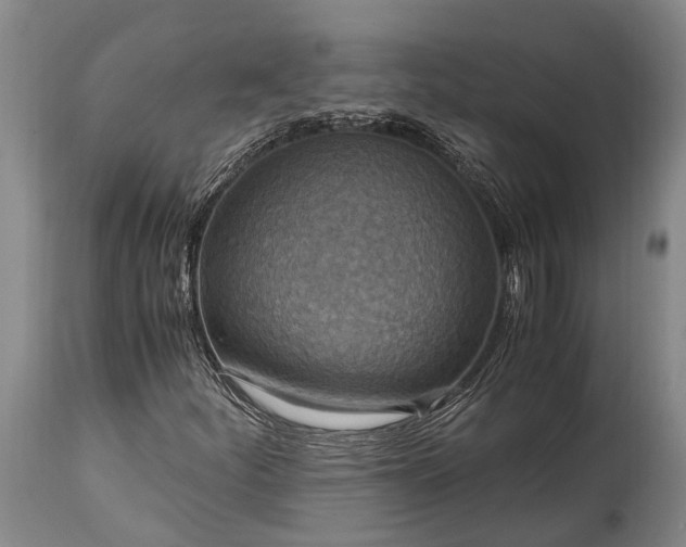 X0000115021252200911091435