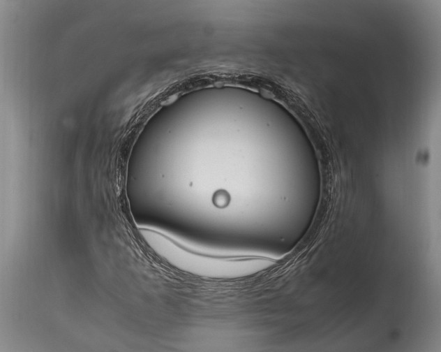 X0000115021253200911091435
