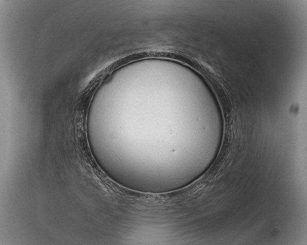 X0000115021255200911091435