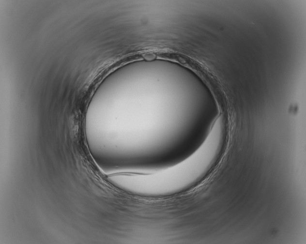 X0000115021257200911091435