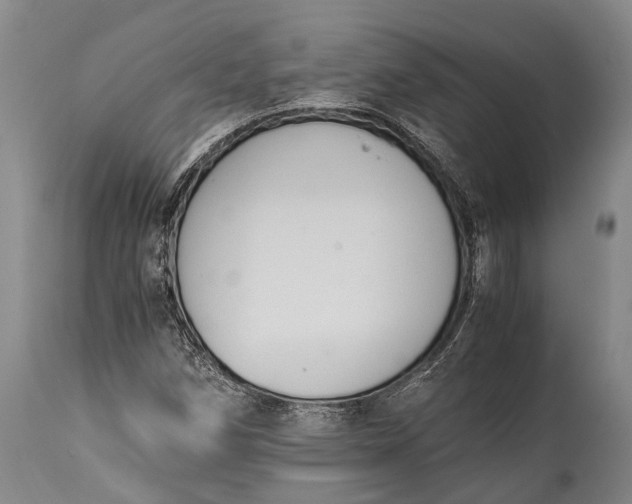 X0000115021258200911091435