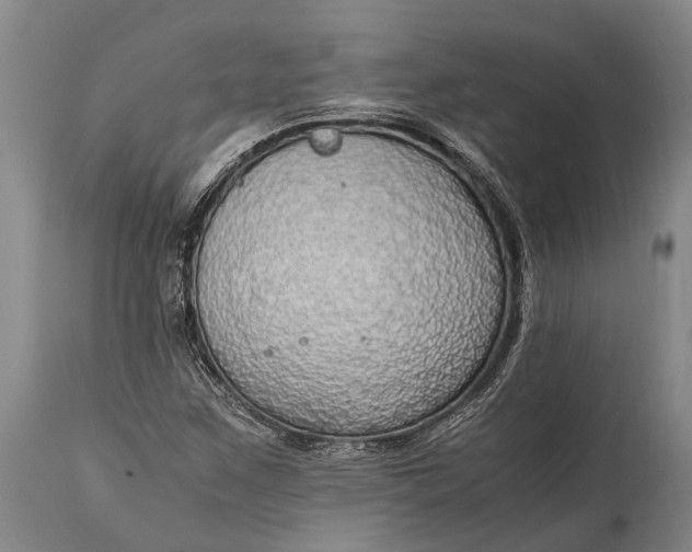 X0000115021259200911091435