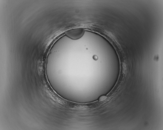 X0000115021260200911091435