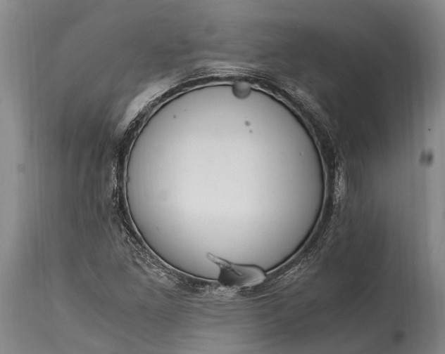 X0000115021261200911091435