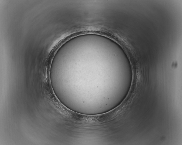 X0000115021262200911091435