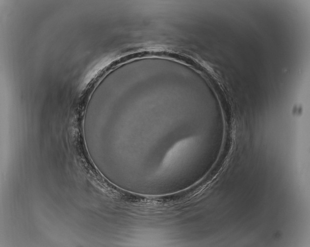 X0000115021263200911091435