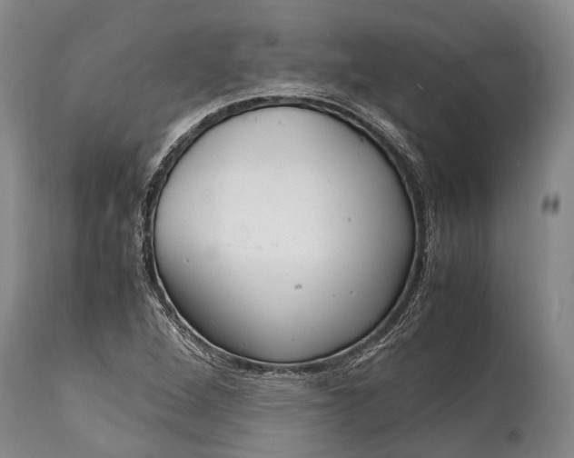 X0000115021264200911091435