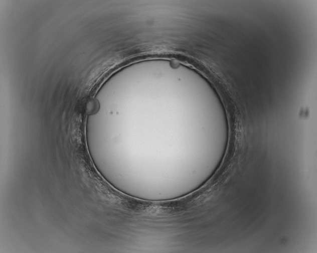 X0000115021265200911091434