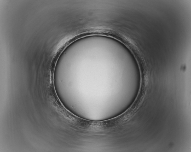 X0000115021267200911091434