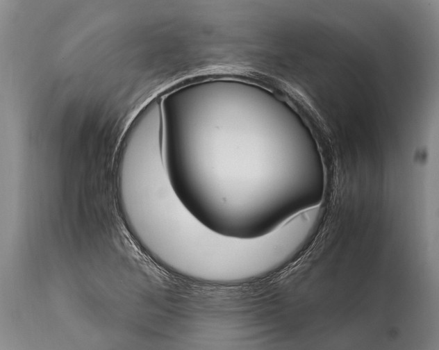 X0000115021268200911091434
