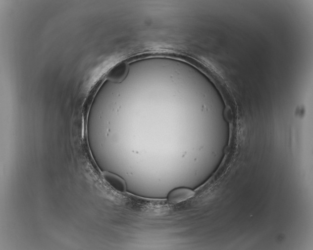 X0000115021269200911091434