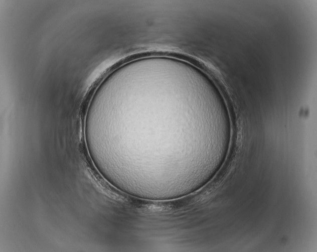 X0000115021271200911091434