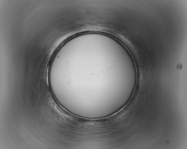X0000115021272200911091434