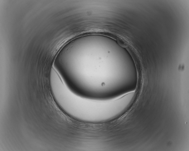 X0000115021273200911091434
