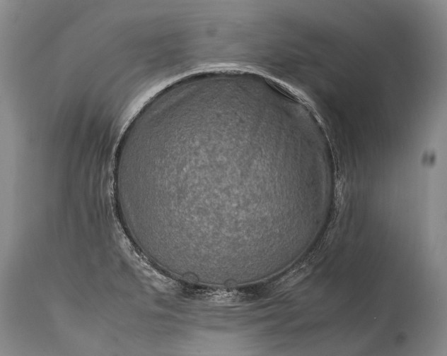 X0000115021279200911091434