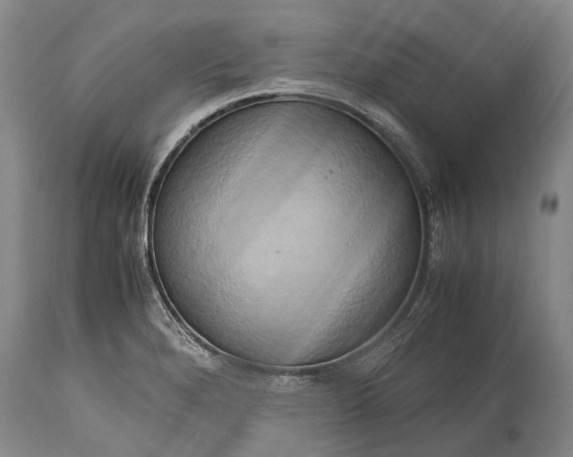 X0000115021280200911091434