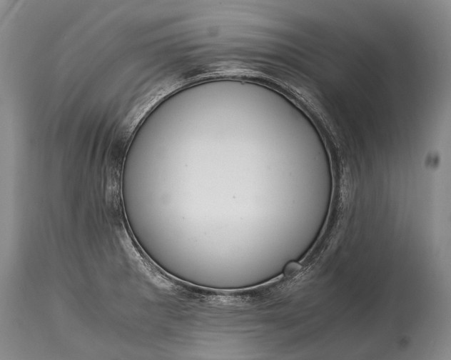 X0000115021281200911091434