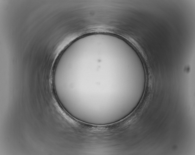 X0000115021285200911091434