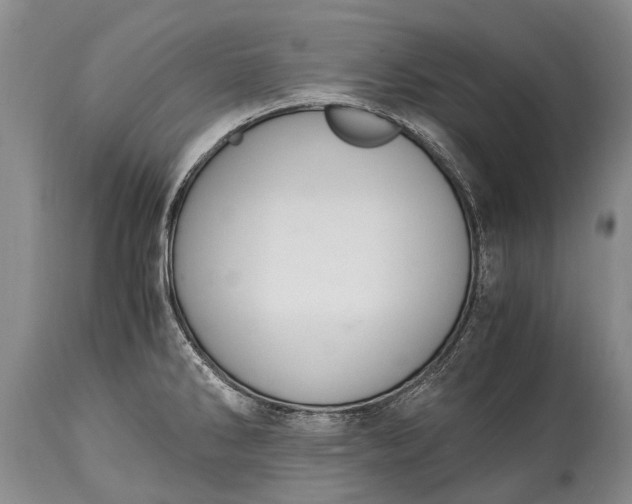 X0000115021286200911091434