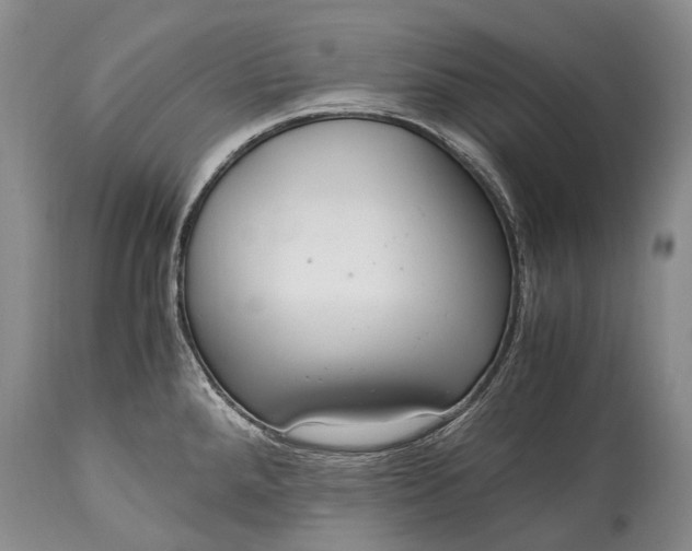 X0000115021288200911091434
