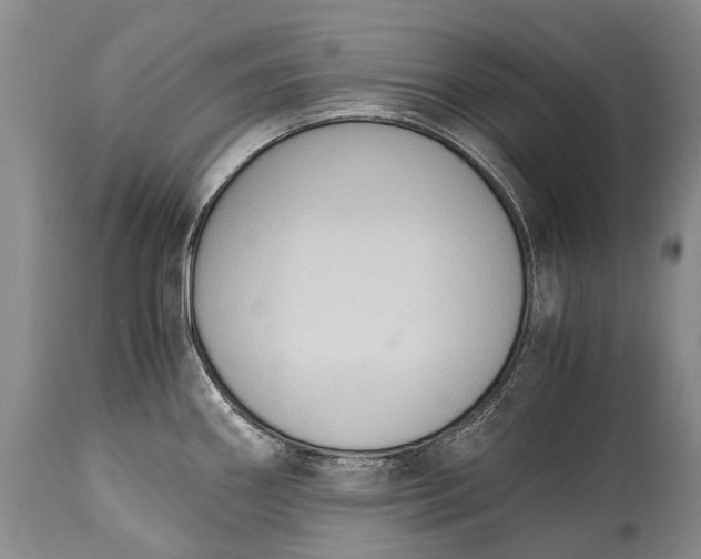 X0000115021290200911091434