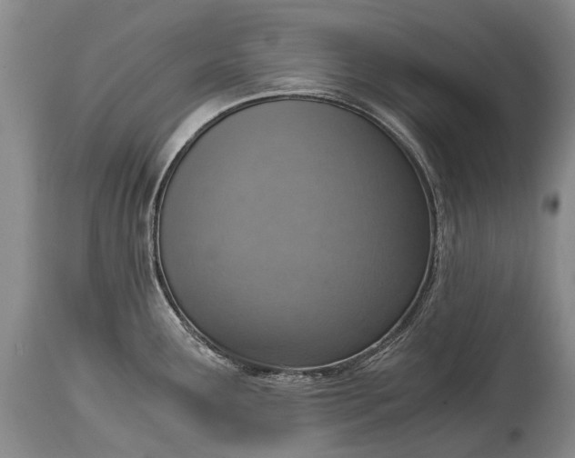 X0000115021291200911091434