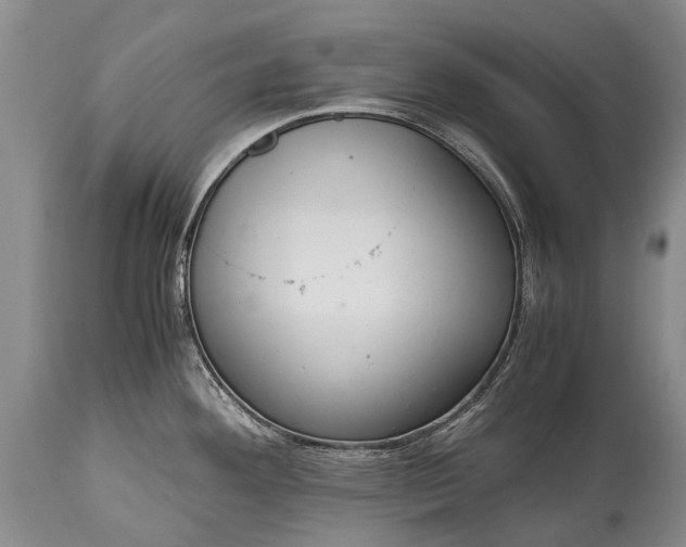 X0000115021292200911091434
