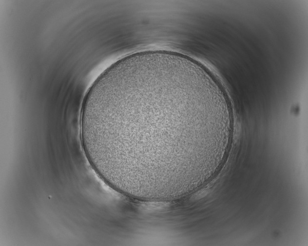 X0000115021294200911091434