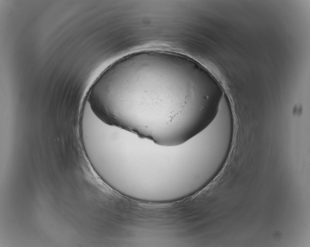 X0000115021296200911091434