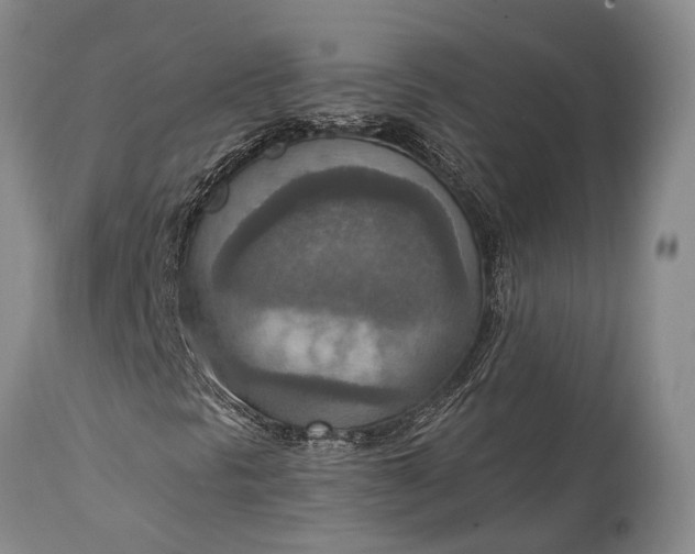 X0000115021297200911091433