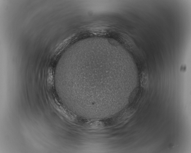 X0000115021298200911091433