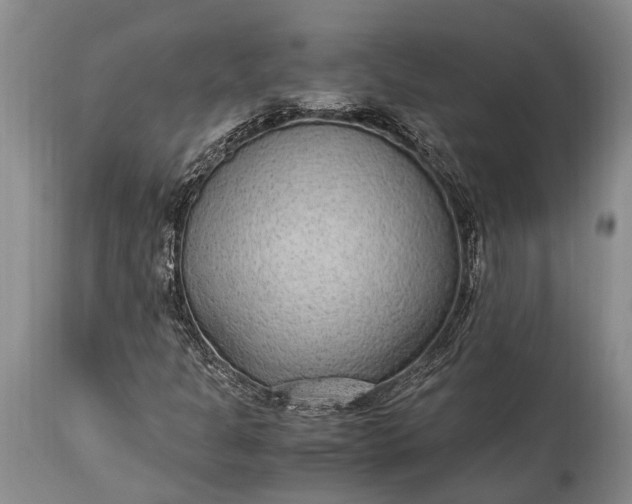 X0000115021301200911091433