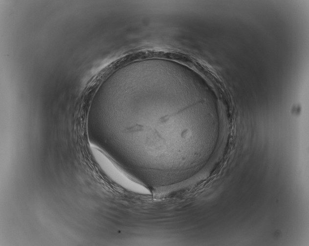 X0000115021303200911091433