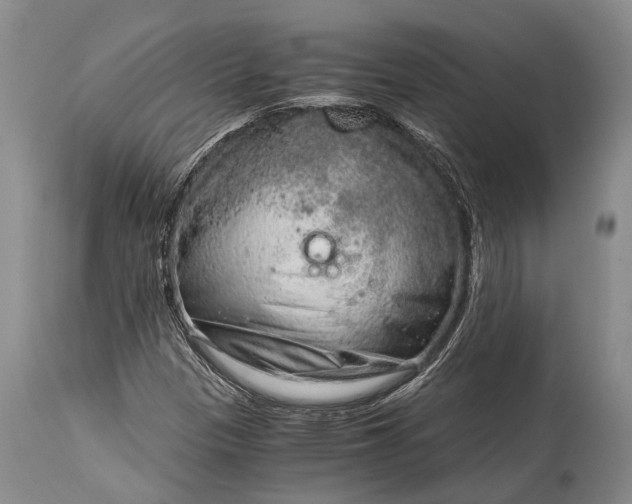 X0000115021305200911091434