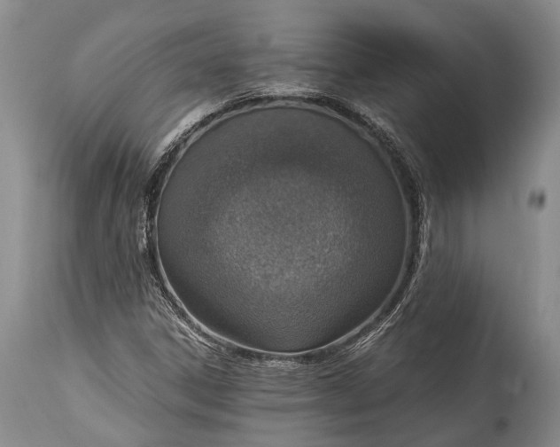 X0000115021306200911091434