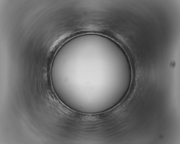 X0000115021307200911091434