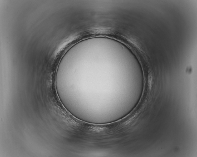 X0000115021309200911091434