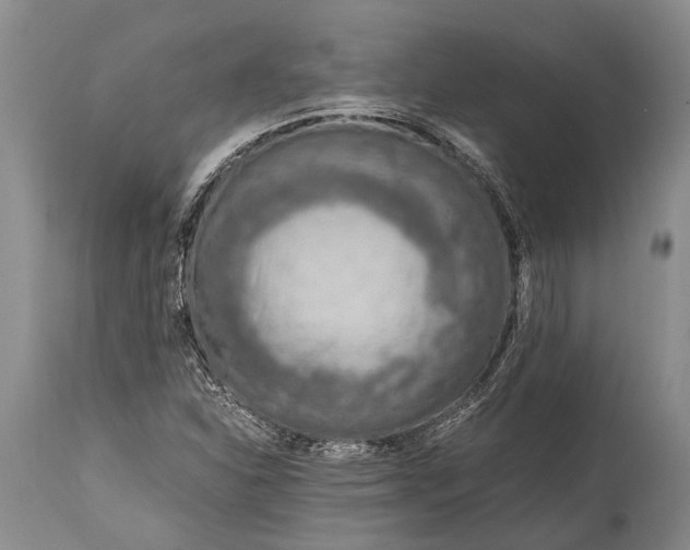 X0000115021310200911091434
