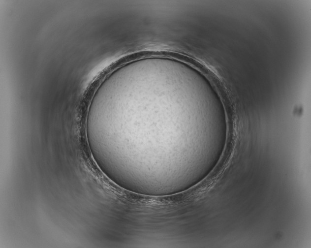 X0000115021311200911091434