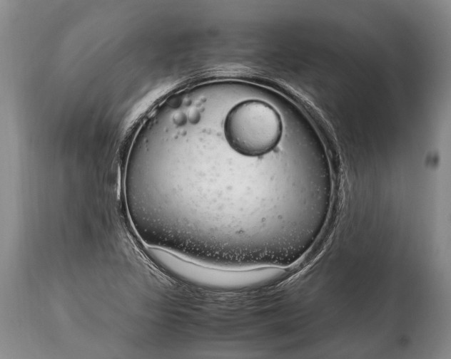 X0000115021317200911091434