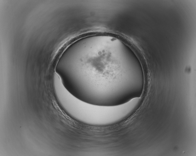 X0000115021318200911091434