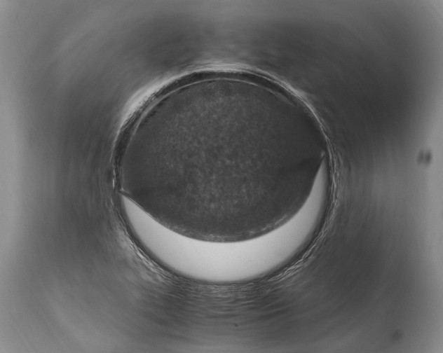 X0000115021319200911091434