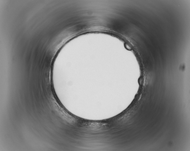 X0000115021322200911091434
