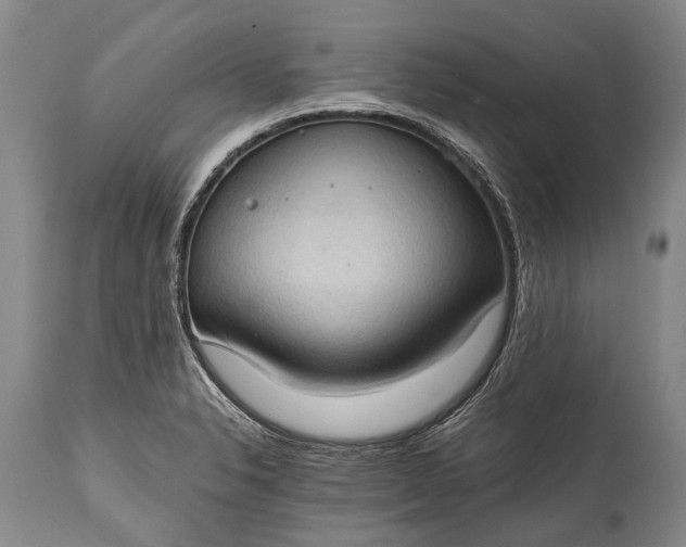 X0000115021326200911091434