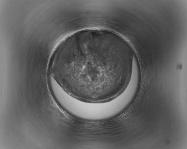 X0000115021327200911091434