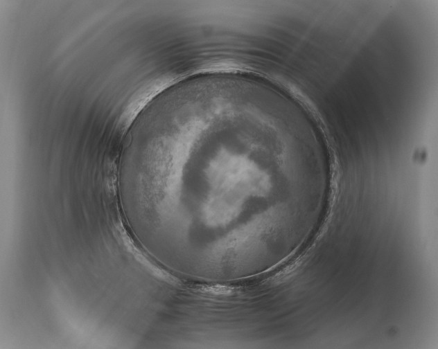 X0000115021329200911091434