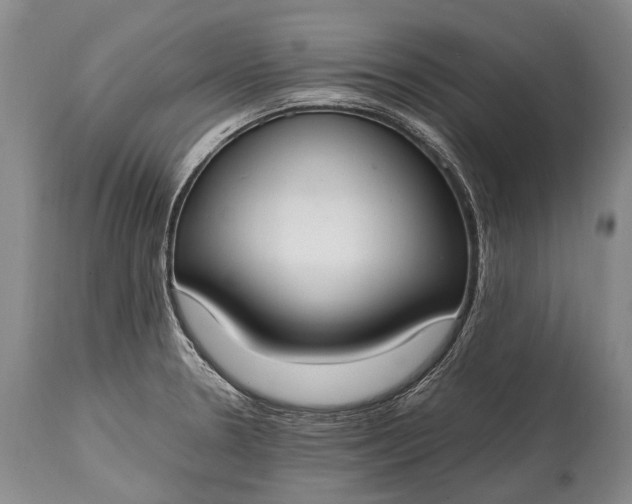 X0000115021330200911091434