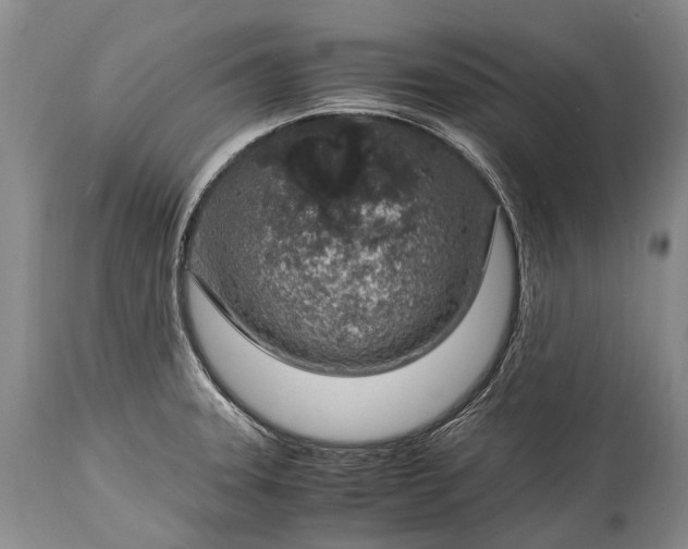X0000115021331200911091434